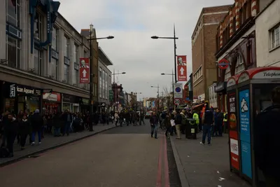 DSC_1379 (Large).JPG